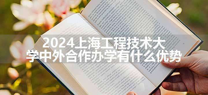 2024上海工程技术大学中外合作办学有什么优势