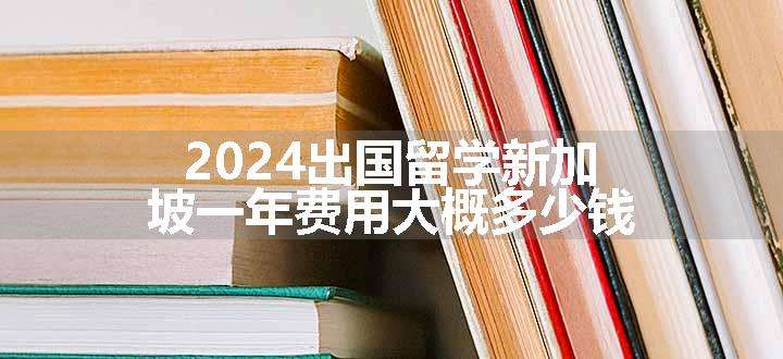 2024出国留学新加坡一年费用大概多少钱