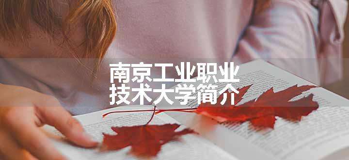 南京工业职业技术大学简介