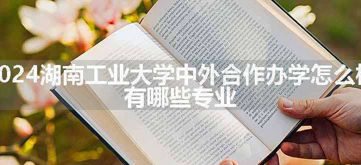 2024湖南工业大学中外合作办学怎么样 有哪些专业