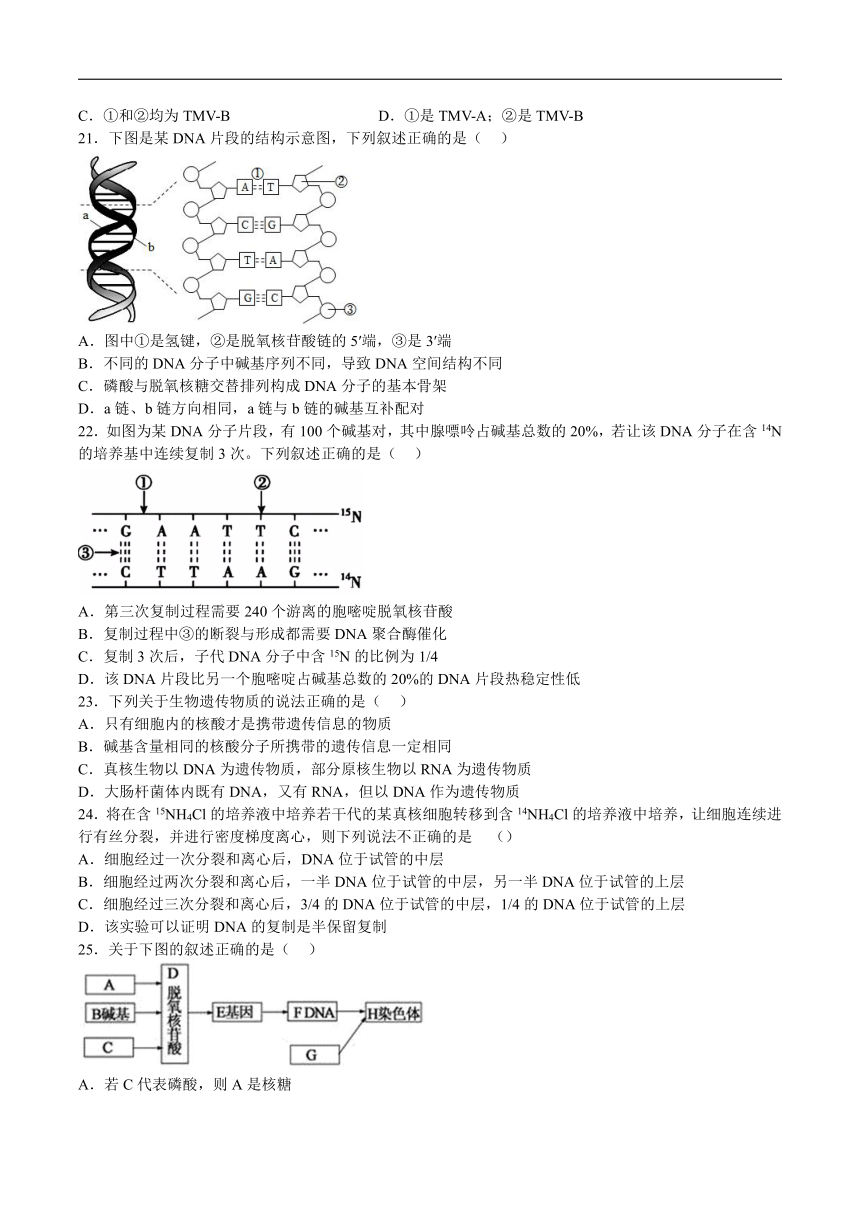 青海省西宁市第十四中学2023-2024学年高一下学期6月月考生物试卷（有答案）