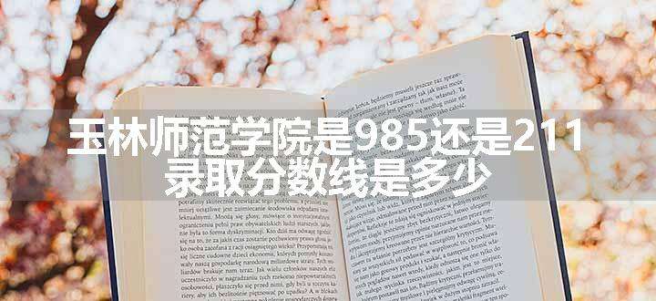 玉林师范学院是985还是211 录取分数线是多少