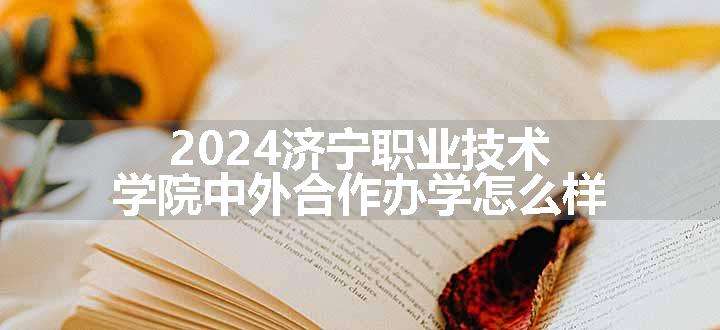 2024济宁职业技术学院中外合作办学怎么样