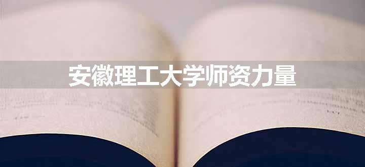 安徽理工大学师资力量