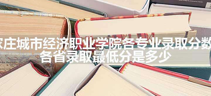 2024石家庄城市经济职业学院各专业录取分数线及位次 各省录取最低分是多少