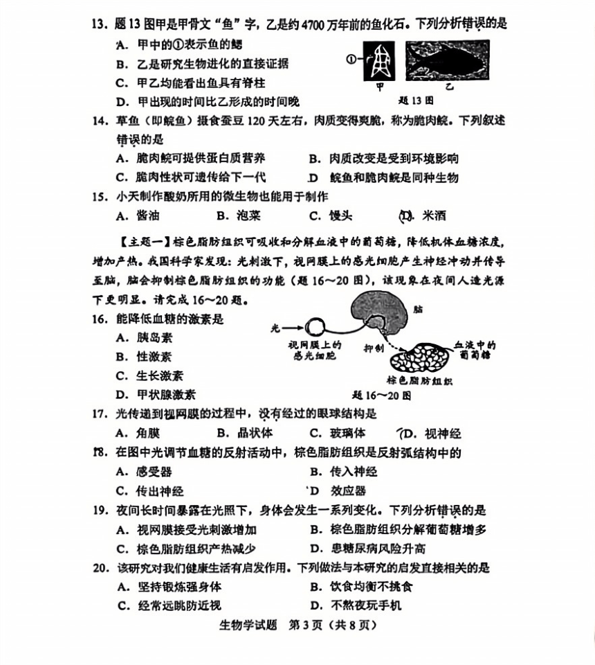 2024年广东省初中学业水平考试真题试卷 （pdf版无答案）