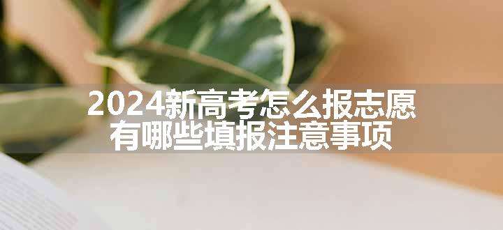 2024新高考怎么报志愿 有哪些填报注意事项