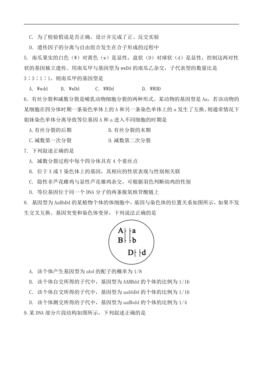 四川省眉山市东坡区2023-2024学年高一下学期期中考试生物试卷（含答案）