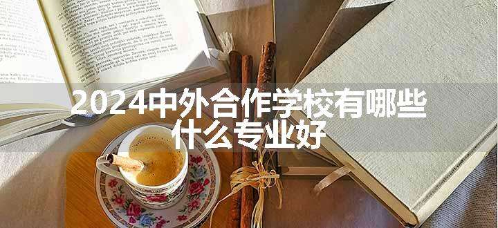 中外合作学校有哪些