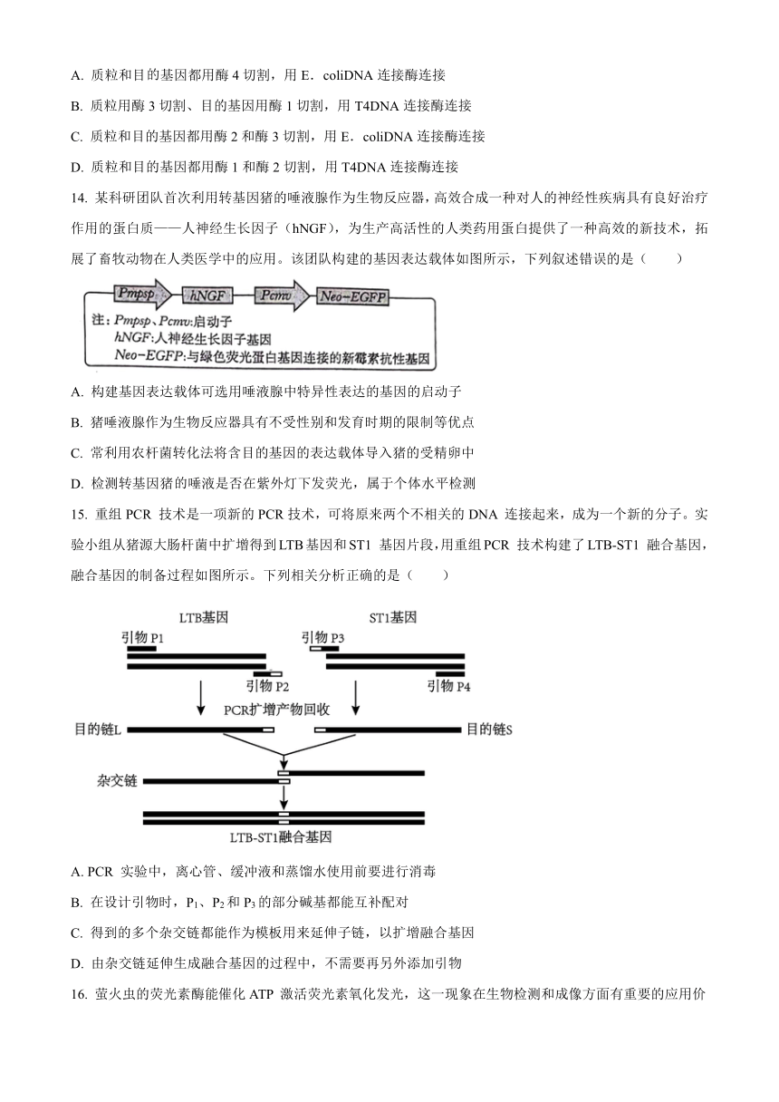 贵州省遵义市2023-2024学年高二下学期6月月考试题 生物（含解析）