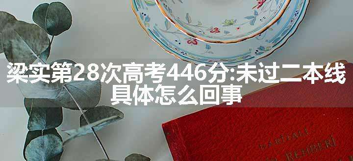 梁实第28次高考446分:未过二本线 具体怎么回事