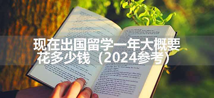 现在出国留学一年大概要花多少钱（2024参考）