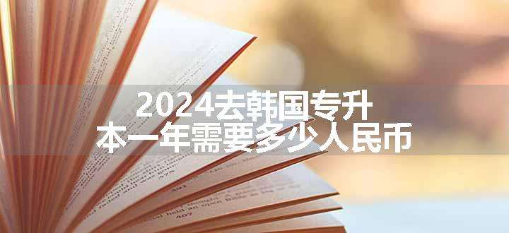 2024去韩国专升本一年需要多少人民币