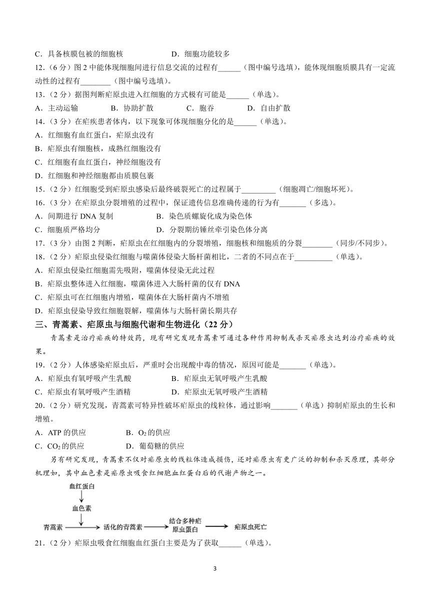 上海市宝山区2023-2024学年高二下学期期末教学质量监测生物学试卷（含答案）