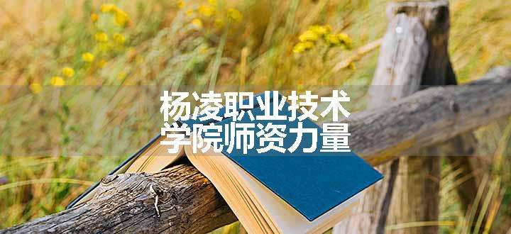 杨凌职业技术学院师资力量