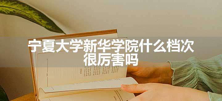 宁夏大学新华学院什么档次 很厉害吗