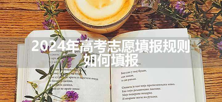2024年高考志愿填报规则 如何填报