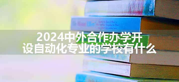 2024中外合作办学开设自动化专业的学校有什么