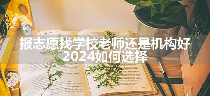 报志愿找学校老师还是机构好 2024如何选择