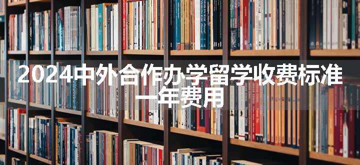 2024中外合作办学留学收费标准 一年费用