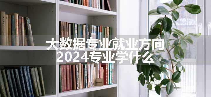 大数据专业就业方向 2024专业学什么