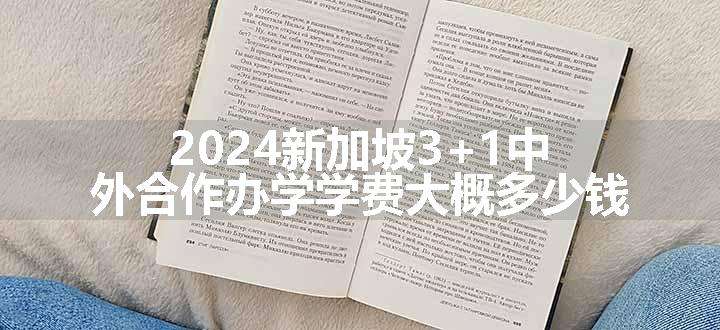 2024新加坡3+1中外合作办学学费大概多少钱