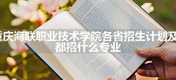 2024年重庆海联职业技术学院各省招生计划及招生人数 都招什么专业