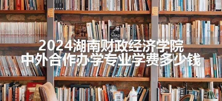 2024湖南财政经济学院中外合作办学专业学费多少钱