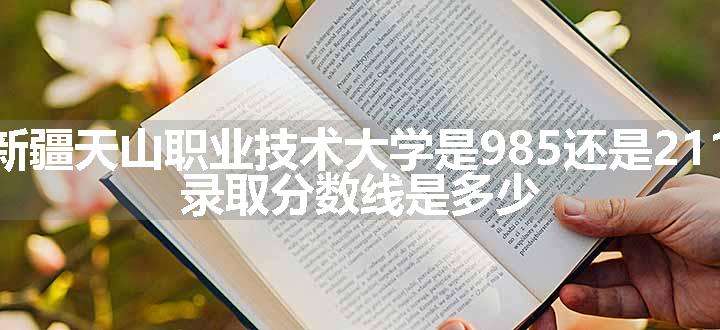 新疆天山职业技术大学是985还是211 录取分数线是多少