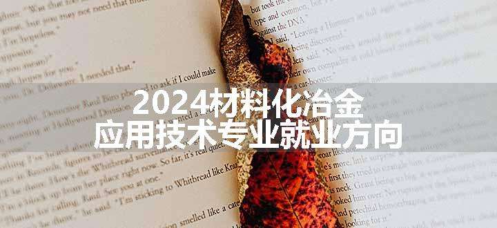 2024材料化冶金应用技术专业就业方向