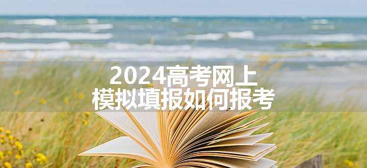 2024高考网上模拟填报如何报考