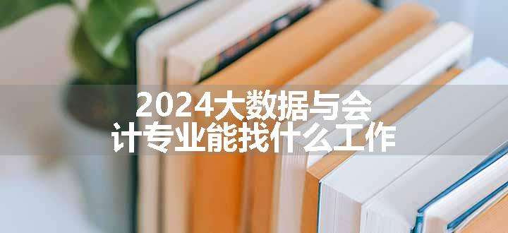 2024大数据与会计专业能找什么工作