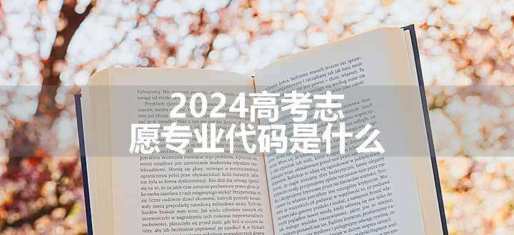 2024高考志愿专业代码是什么