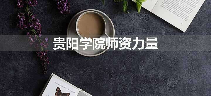 贵阳学院师资力量