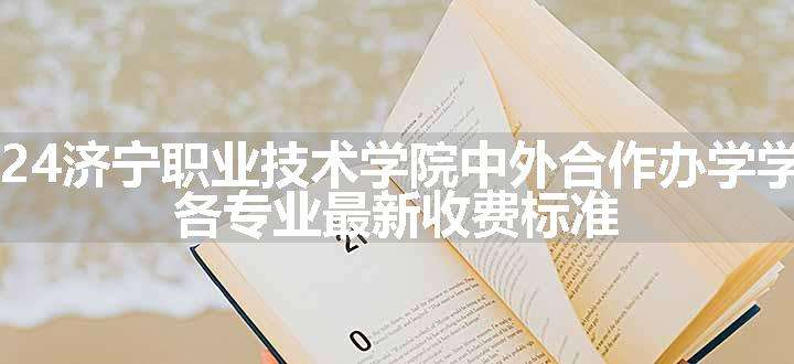 2024济宁职业技术学院中外合作办学学费 各专业最新收费标准