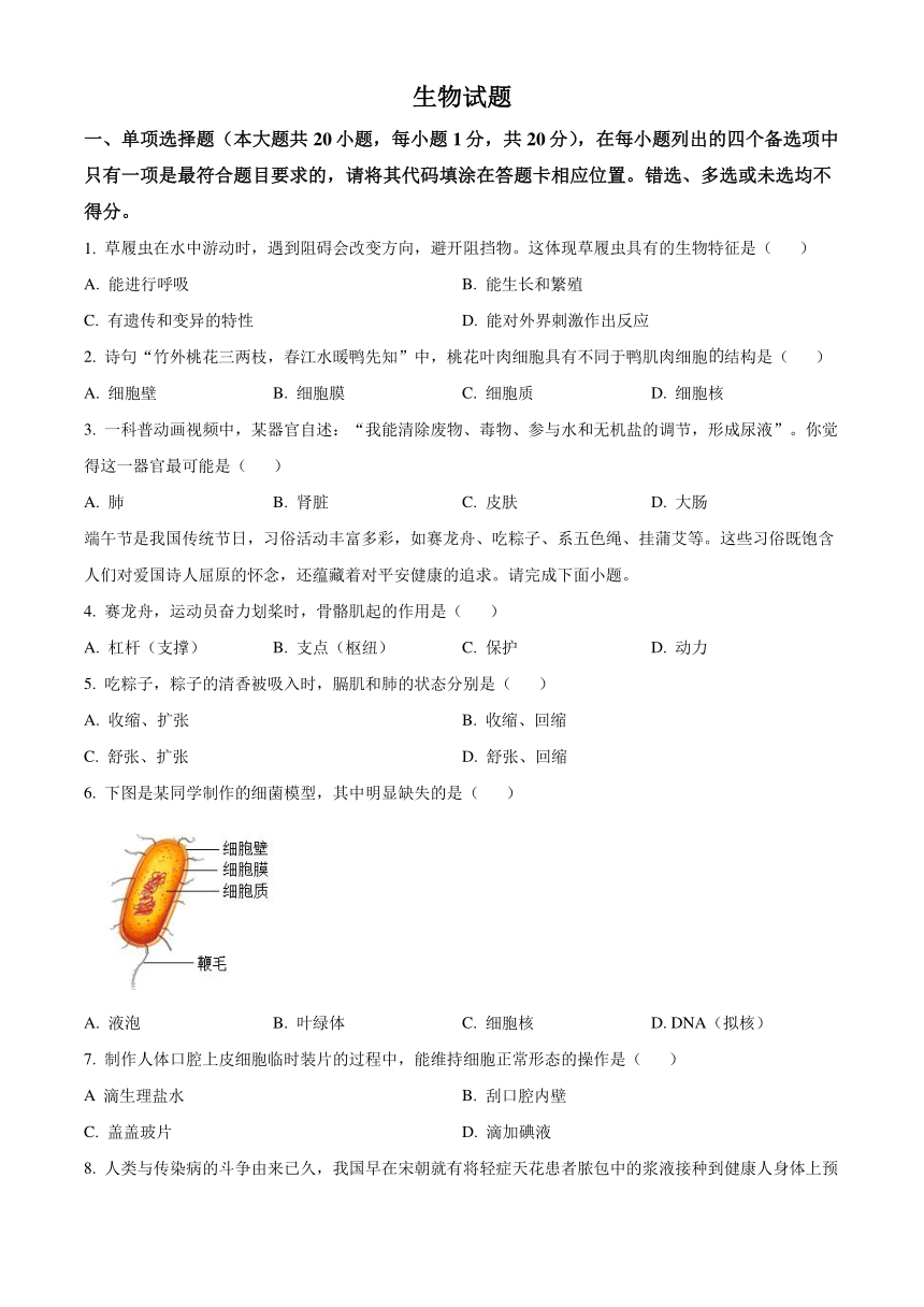 2024年江西省中考生物真题试题（word版含答案）