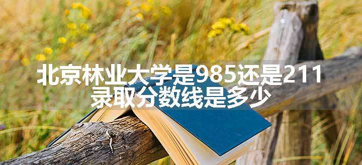 北京林业大学是985还是211 录取分数线是多少