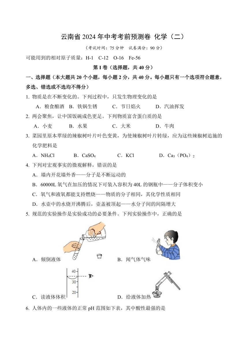 2024年云南省中考考前预测卷化学（二）（无答案）