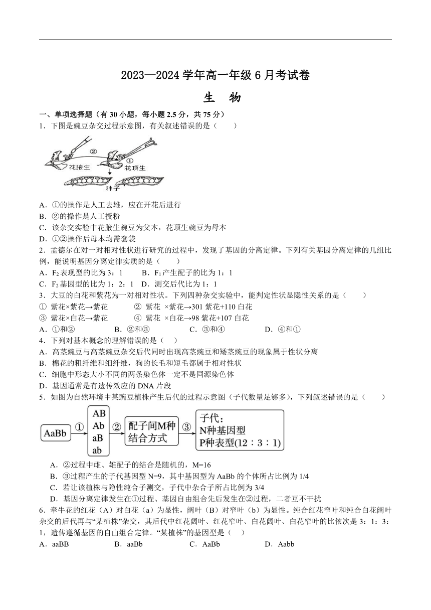 青海省西宁市第十四中学2023-2024学年高一下学期6月月考生物试卷（有答案）