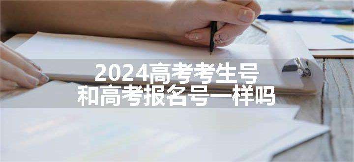 2024高考考生号和高考报名号一样吗