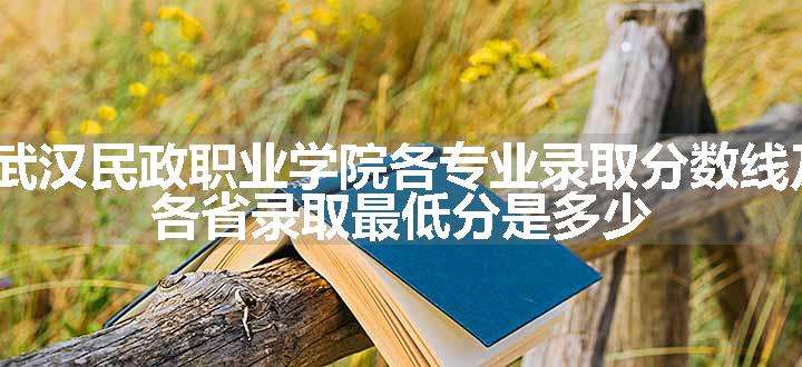 2024武汉民政职业学院各专业录取分数线及位次 各省录取最低分是多少