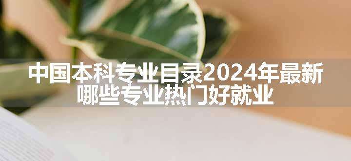 中国本科专业目录2024年最新 哪些专业热门好就业