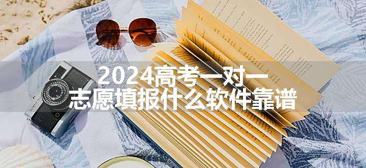 2024高考一对一志愿填报什么软件靠谱