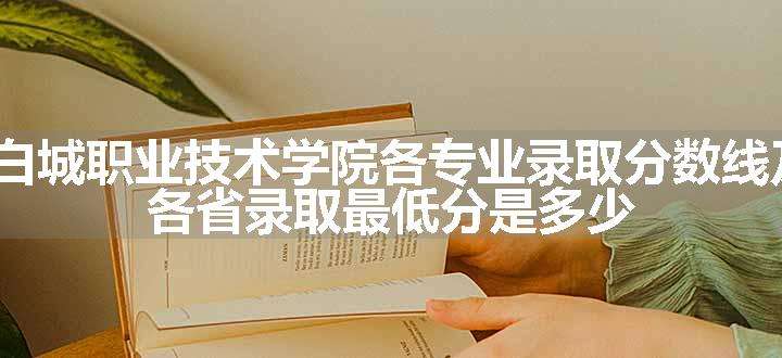 2024白城职业技术学院各专业录取分数线及位次 各省录取最低分是多少