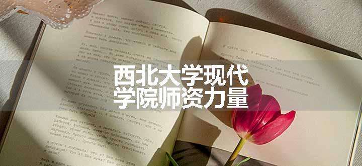 西北大学现代学院师资力量