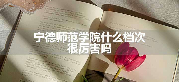 宁德师范学院什么档次 很厉害吗