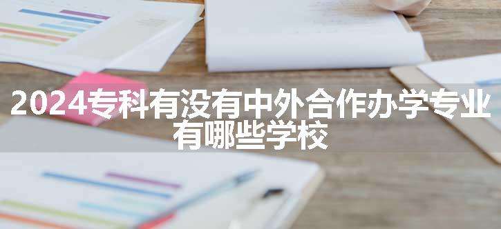 2024专科有没有中外合作办学专业 有哪些学校