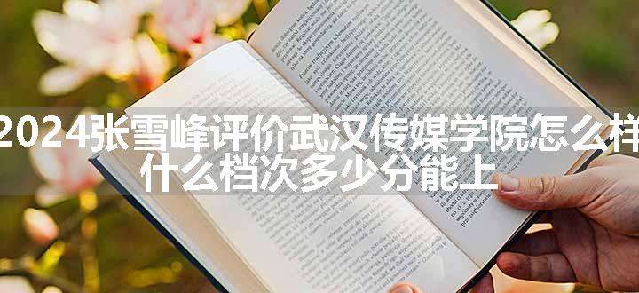 2024张雪峰评价武汉传媒学院怎么样 什么档次多少分能上