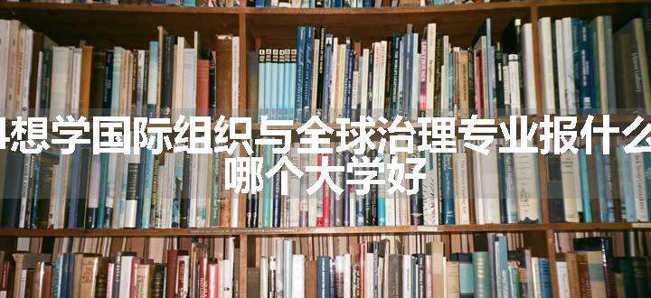 2024想学国际组织与全球治理专业报什么学校 哪个大学好