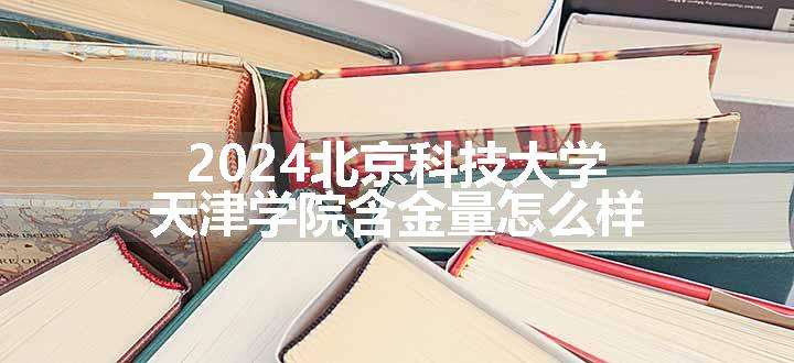 2024北京科技大学天津学院含金量怎么样